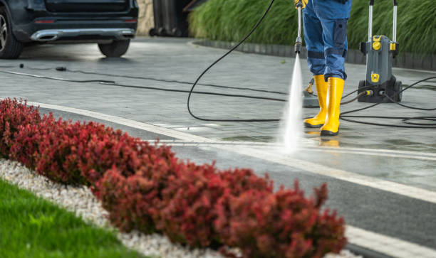 Best Sidewalk Pressure Washing  in Bnchard, LA